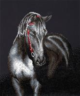 Diamond Dotz 53 x 42 cm - Midnight Stallion Häst