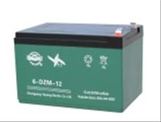 Batteri 12V 12AH (6-DZM-12) (3 st)