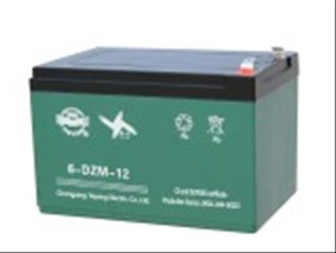 Batteri 12V 12AH (6-DZM-12) (3 st)