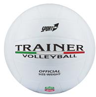 Beach Volleyboll ''Trainer''
