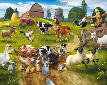 Bondgårds skoj tapet 243 x 305 cm-2