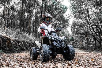 Can-Am  Renegade EL ATV 21,6V (Lithium, RC, 4xMotor, Lädersäte, Gummihjul)-7