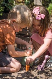 Dantoy Green Garden Set med gröna växter (11 delar)-2
