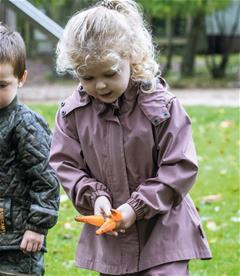 Dantoy Green Garden Set med gröna växter (11 delar)-4