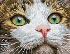 Diamond Dotz 35 x 27 cm - katt med gröna ögon