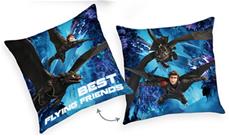 Draktränaren ”BEST FLYING FRIENDS”-kudde