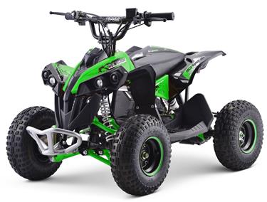 EL ATV Renegade Brushless 1200W 48V Cardan 