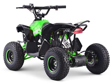 EL ATV Renegade Brushless 1200W 48V Cardan -3