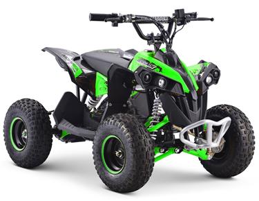 EL ATV Renegade Brushless 1200W 48V Cardan -5