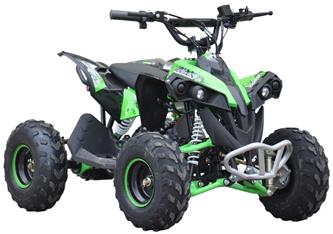 EL ATV Renegade Brushless 1200W 48V Cardan -6