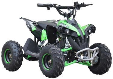 EL ATV Renegade Brushless 1200W 48V Cardan -6