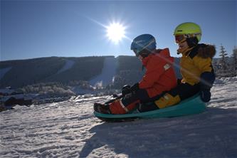 Galactus Double Pulka med Ratt, Polar blue-12