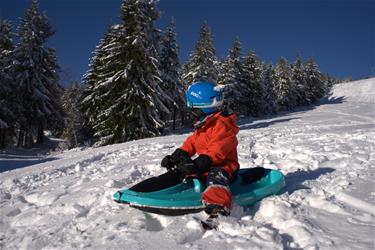 Galactus Double Pulka med Ratt, Polar blue-8