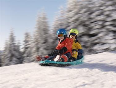 Galactus Double Pulka med Ratt, Polar blue-9