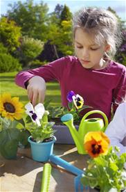 Gardenico Kids Stort trädgårdsset med krukor för barn-4