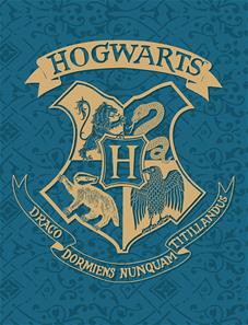Harry Potter Blåt Fleecefilt - 130 x 170 cm