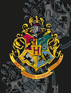Harry Potter Fleecefilt - 130 x 170 cm