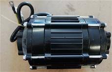 Motor till Renegade Brushless 1200 W 48 V