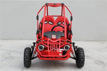 Off-Road  Mini Buggy GT50 5,5HP-4