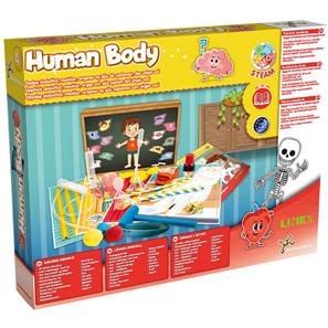 Science4you – Human Body-2