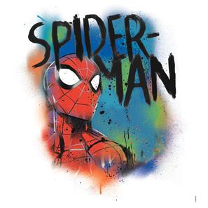 Spiderman Klassisk Graffiti Wallstickers-2