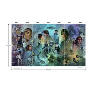 Star Wars Original Trilogy Tapet 320 x 183 cm-3
